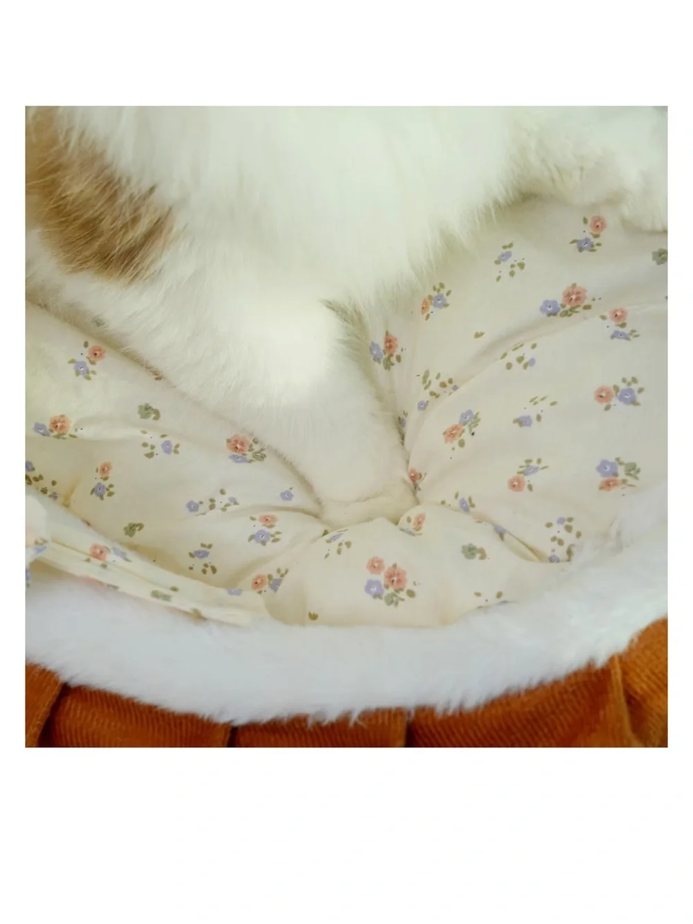Pet Bed Cat Cute Crib Bassinet- Coquette French Floral